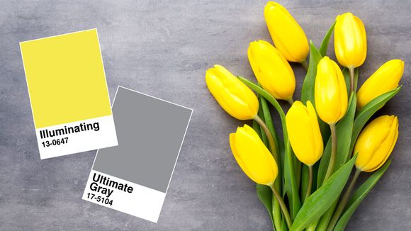 2021 Colors of the Year - Illuminating Yellow and ultimate Gray - TLK Luxury Custom Homes 